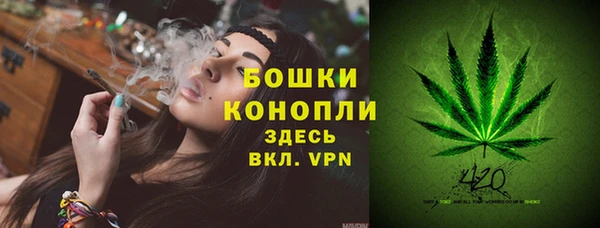 марки nbome Гусь-Хрустальный