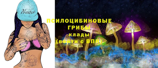 мяу мяу мука Гусев